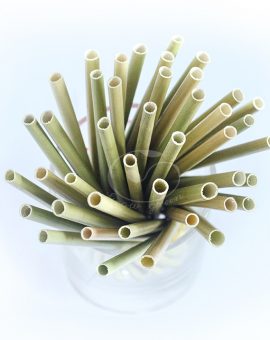 Ống hút cỏ/Grey sedge grass straw