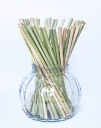 Dried grass straw