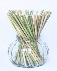 Ống hút cỏ bàng khô dùng một lần