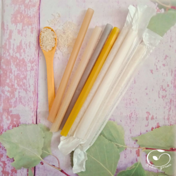 Ống hút gạo phi 12