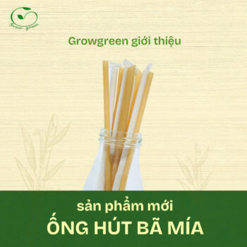 Ống hút bã mía Growgreen